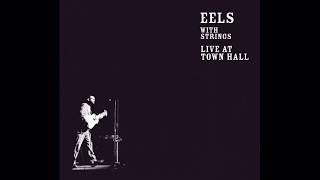 I Could Never Take the Place of Your Man - Eels