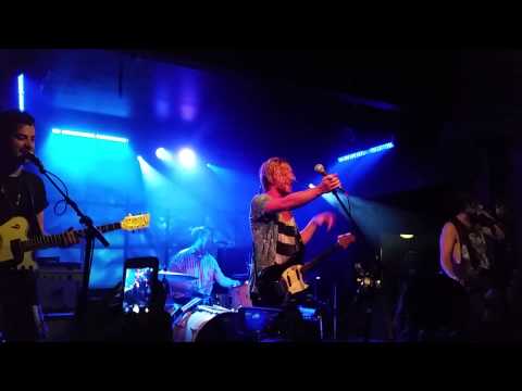 The Griswolds Live at the Echo - Beware the Dog