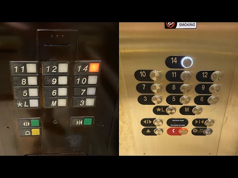 MOD IN PROGRESS: Otis Series 1/Series M2 Traction Elevators @ Hyatt Regency, Coral Gables Miami, FL