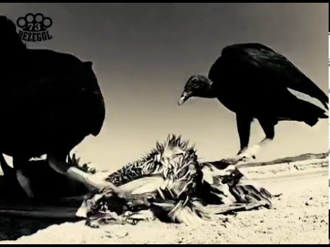 BEZEGOL feat. ROGER PLEXICO - DOENÇA