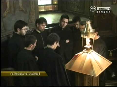 Adrian Stolnicu-Heruvic glas 3 Grigorie Protopsaltul