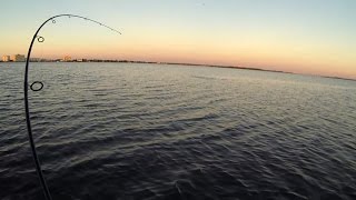 25" Fort Desoto Redfish
