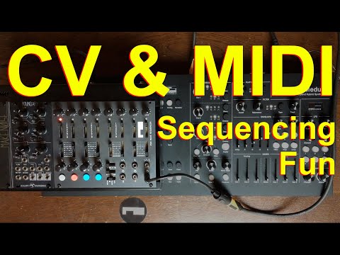 A very fun and powerfull sequencer I Ryk Modular M 185