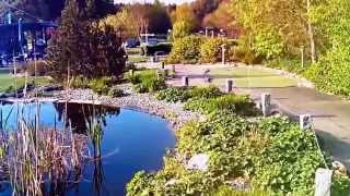 preview picture of video 'Spielplatz Minigolfplatz Biergarten Familienausflug Amigo Kleiner Brombachsee Langlau'