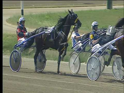 Trotto 26/05/2017 - 3ª corsa