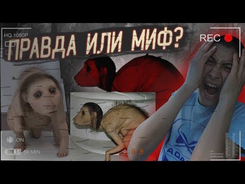 ПРОКЛЯТИЕ? НАКАЗАНИЕ? КТО ОНА? - разоблачение мифа про девушку крысу.