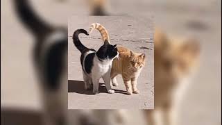 Download lagu Double Take - Dhruv [sped up] mp3