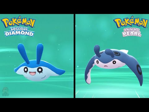 How to Find Mantyke & Evolve Into Mantine in Pokemon Brilliant Diamond & Shining Pearl