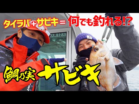タイラバ+サビキ＝なんでも釣れる⁉鯛乃実サビキ｜伊丹章のGO!FISHING