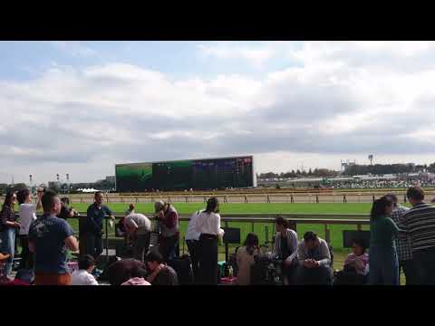 【伝説の新馬戦】ルヴォルグ 新馬戦 返し馬