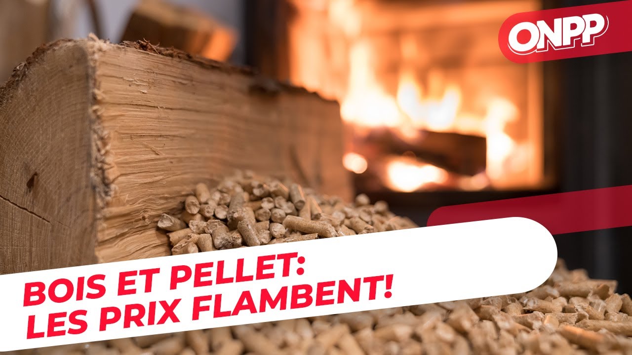 Bois et pellet : augmentation des prix - On n'est pas des Pigeons