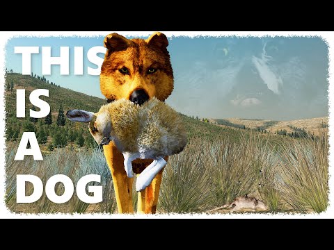 Becoming an alpha d̶o̶g̶ WOLF (ᵒⁿ ᵃ ᵠᵘᵉˢᵗ ᶠᵒʳ ʷᵒˡᶠᵘˢˢʸ) | WOLF QUEST