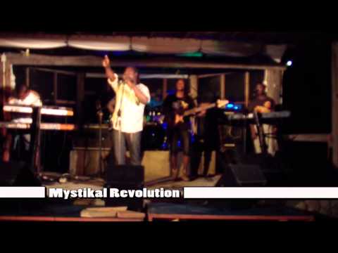 Mystikal Revolution at Wickie Wackie Live 3.01.14