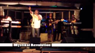 Mystikal Revolution at Wickie Wackie Live 3.01.14