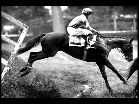 Vzpomínka na šampiona... Ronino!♥