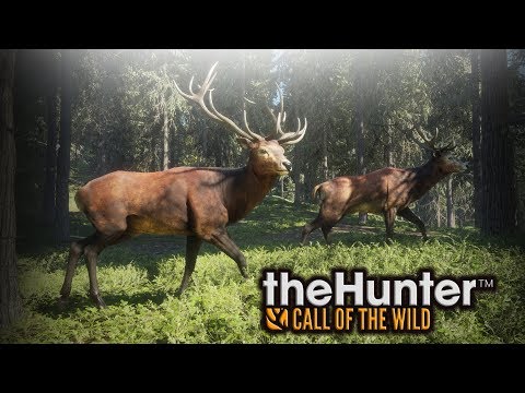 Ist der Opa unten viel zu kalt, war er mit Keys und Kreis im Wald