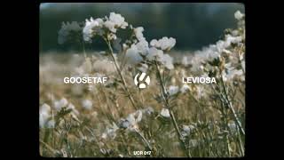 Goosetaf - Leviosa