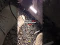 Bokep Viral