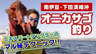 ヒットシーン・下田須崎沖オニカサゴ釣り