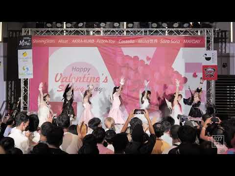 220213 Castella - จือดื่อดึดจือ @ Happy Valentine's Shining Day [Overall Stage 4K 60p]