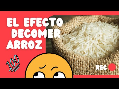 El efecto de Comer arroz al almuerzo