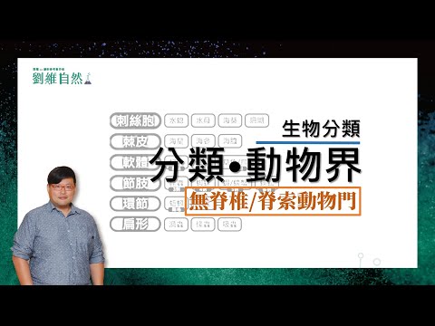 劉維自然·康軒參考書作者