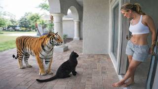 When Your Pet Brings Home a Friend!
