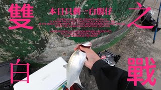 變天前的雙白之戰!今天只有白腹仔~~#白帶魚 季來了! #fishing #釣り #釣魚 #天亞 #弓角 #水球
