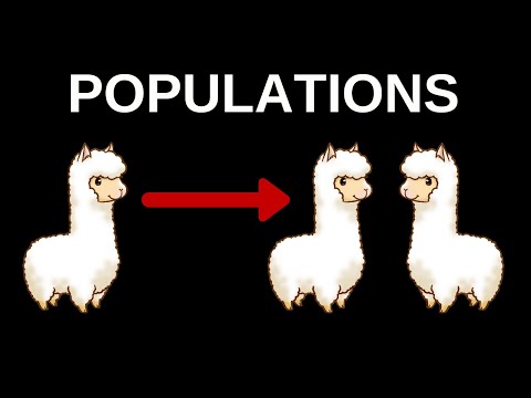 CS50 Lab 1 - Populations Walkthrough (Step by Step Walkthrough for Beginners)