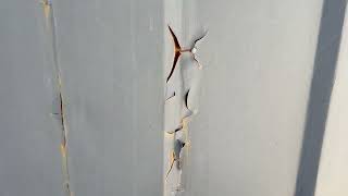 8-fot 8ft container | Image 4 - Autoline