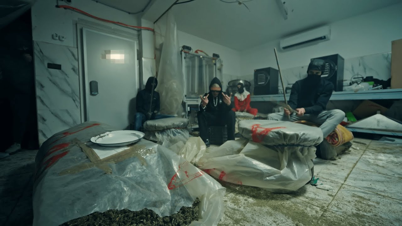 Harmann - IMPORT EXPORT [Official Video]