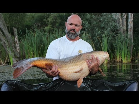 Otti's PB Record Carp Over 25 kg
