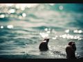Neverending White Lights ft. Raine Maida - Liar ...