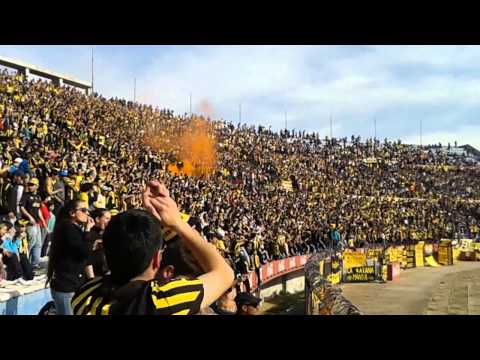 "Gooool/Hace Años Que Yo Vengo" Barra: Barra Amsterdam • Club: Peñarol