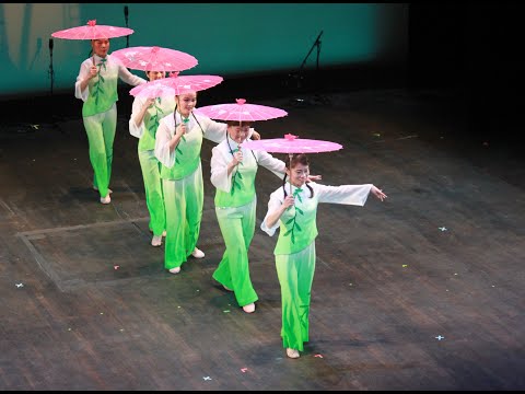 2013 03 14 CDV McPherson xiaocheng