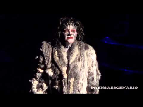 ROCIO BANQUELLS -  CATS -  DEBUT -  MEMORY