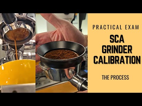 SCA Grinder Calibration exam by Barista Experience Academy #coffee #barista