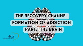 Formation of Addiction  Part. 1 The Brain | The Recovery Channel | Applied Care Services
