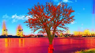 Moby - Homeward angel