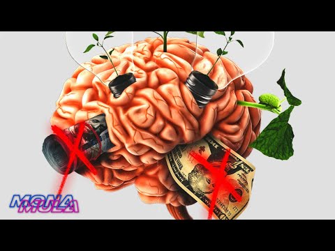 Mona Mula - "Money Disease" (Official Lyric Video)