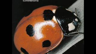 The Sundays - Summertime