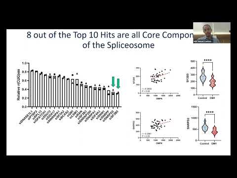 Toxic RNA Selective Screening to Identify Drugs, Targets & Genetic Modifiers for Myotonic Dystrophy