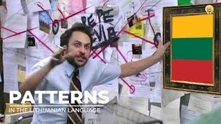 Dissecting Lithuanian: Noticing Patterns In The Language