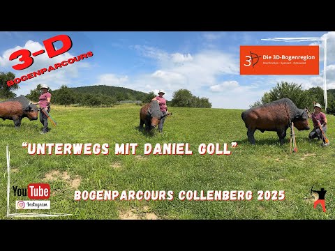 Bogenparcours Collenberg 2025