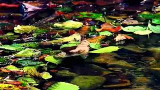 Phaser - Can&#39;t Get You Out of My Mind