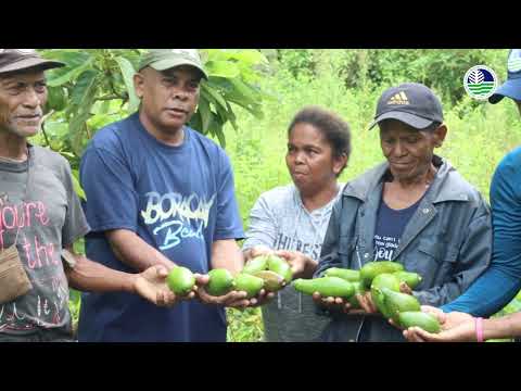 Enhanced National Greening Program