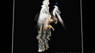 The Courteeners - Cross My Heart and Hope To Fly