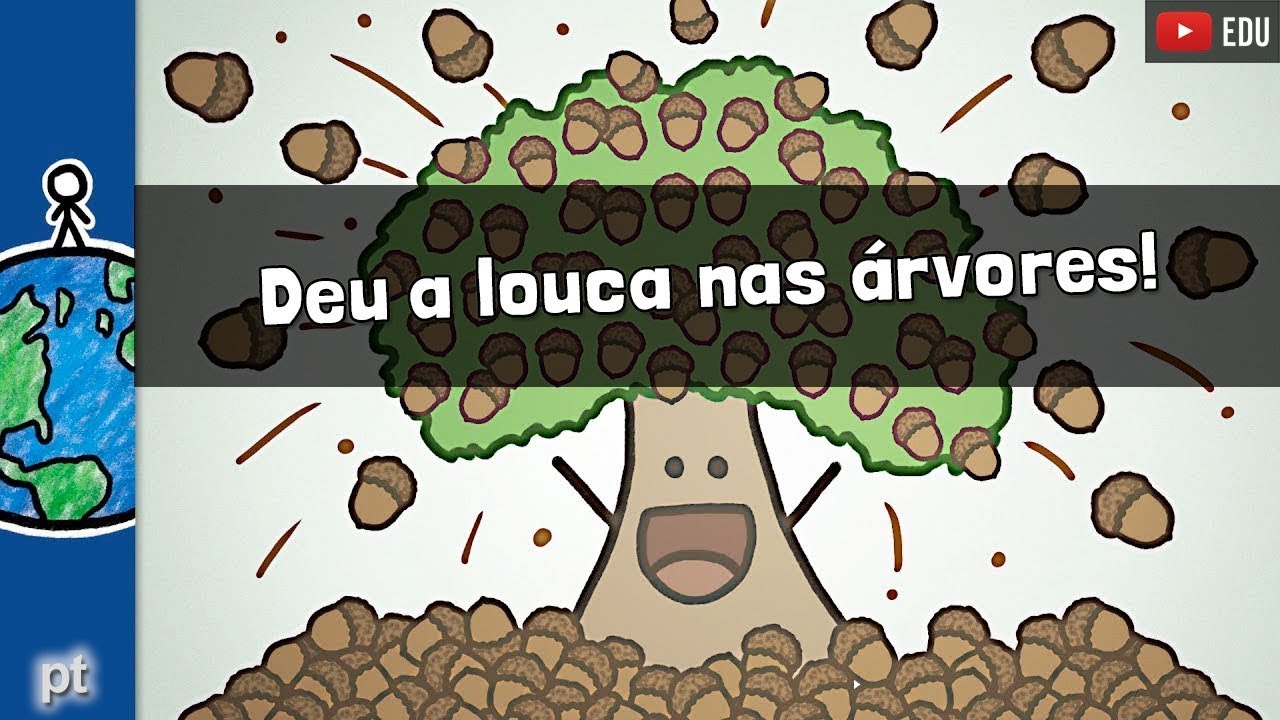 As arveres... somos nozes?! | Minuto da Terra