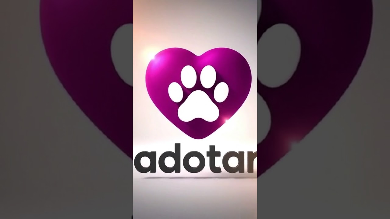 Cachorro raça SRD-ViraLata idade 3 anos nome Bruce