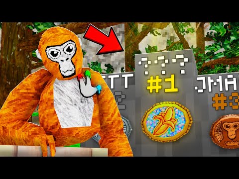 I Made A PRO Gorilla Tag CLAN...